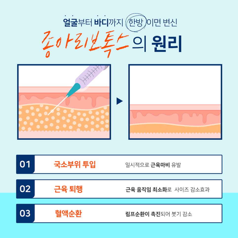 어느계절이나 날씬하고 예쁜다리만드는 방법 관련 이미지 5