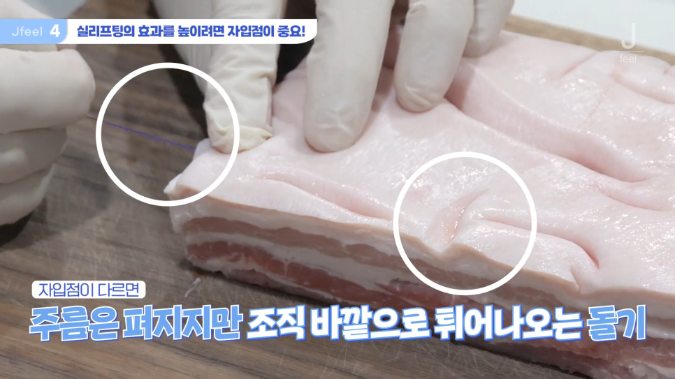 민트실을 돼지고기에 넣는다면? 실리프팅 실험 관련 이미지 14