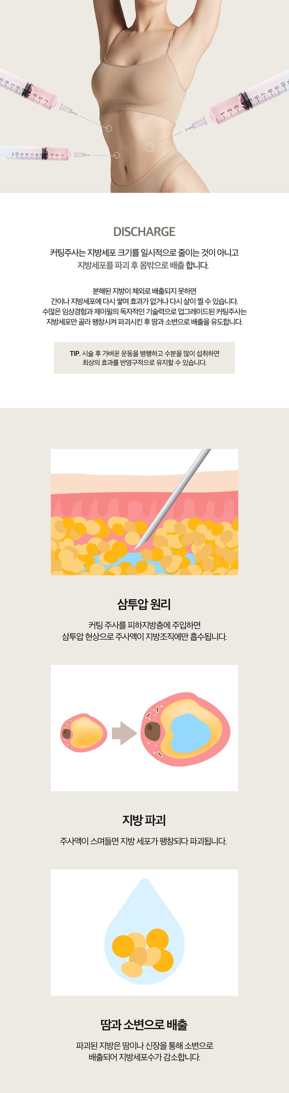 하체관리 방법 추천, 여름맞이 패키지 관련 이미지 4