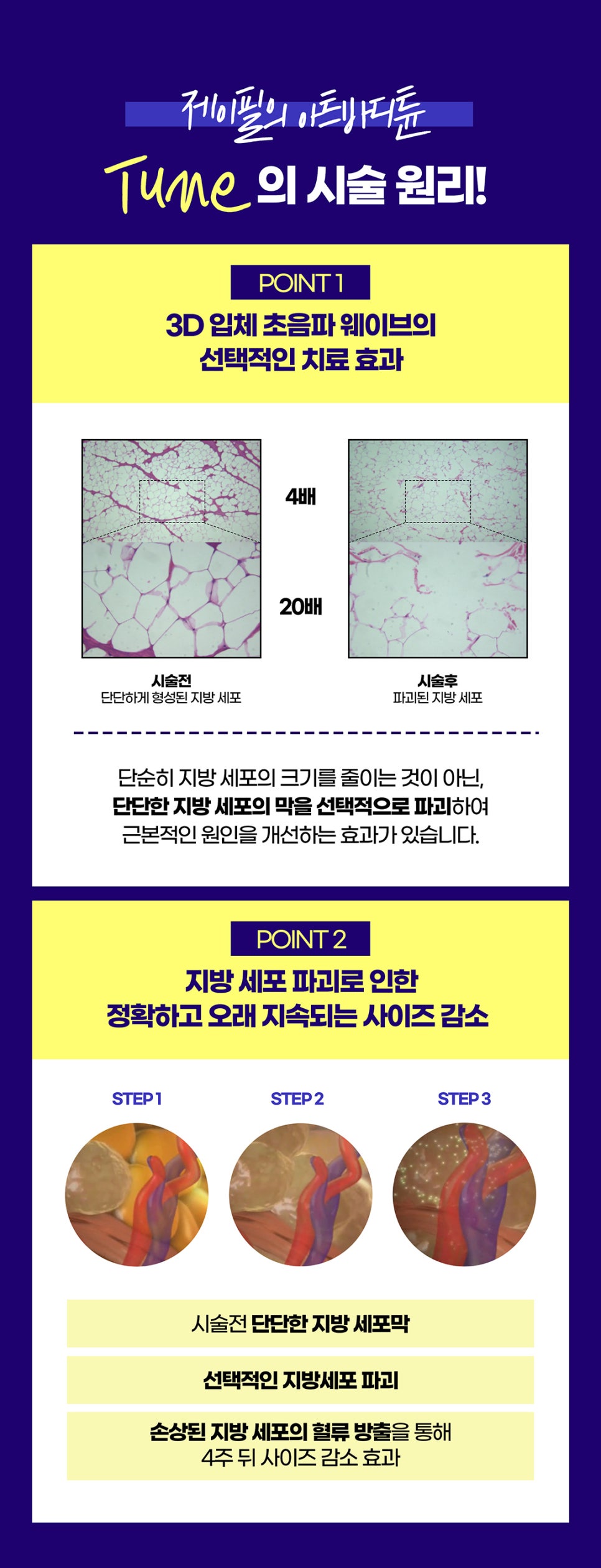 단기다이어트가 가능한 튠바디로 팔뚝, 뱃살 빼기 관련 이미지 4