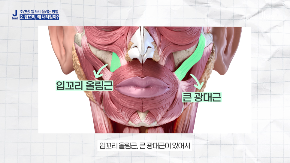 홍대 입꼬리 보톡스 , 입꼬리 올리는 초간단 운동법 관련 이미지 5