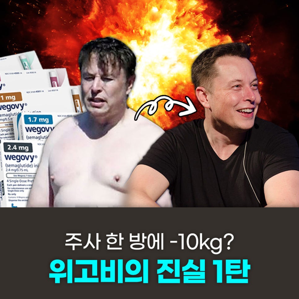 위고비의 진실 1편, 가격&효과 비교분석! 관련 이미지 1