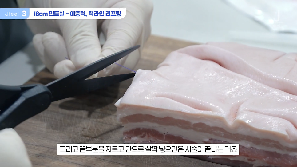 민트실을 돼지고기에 넣는다면? 실리프팅 실험 관련 이미지 13
