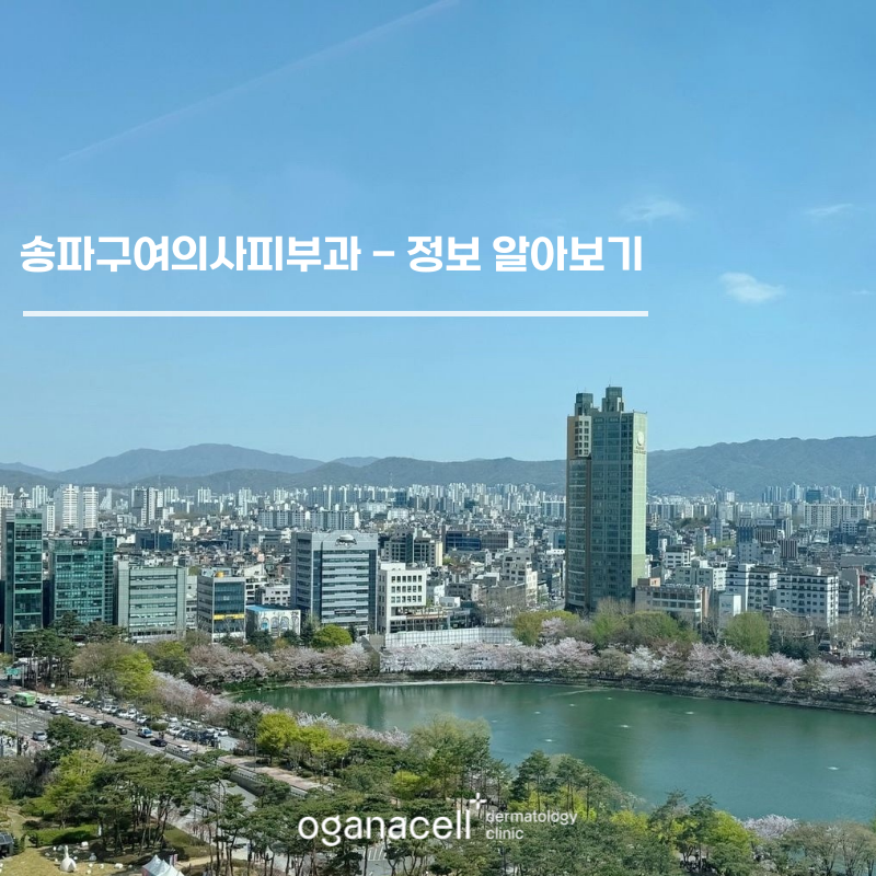 송파구여의사피부과 - 받을 수 있는 주요 관리 관련 이미지 1