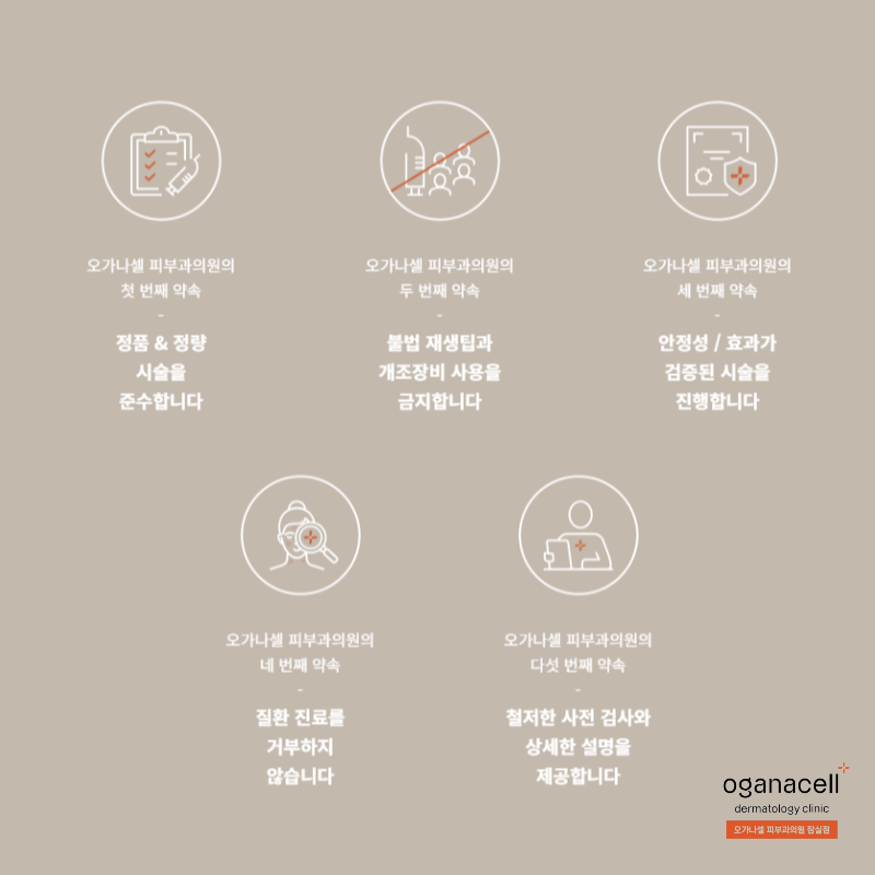 [오가나셀 잠실점] 피부/탄력/쁘띠/체형/두피/메디컬에스테틱 안내 관련 이미지 6