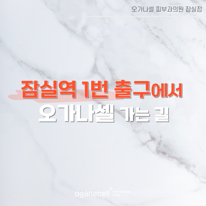 잠실역 1번 출구에서 오가나셀 잠실점 오시는 길 관련 이미지 2