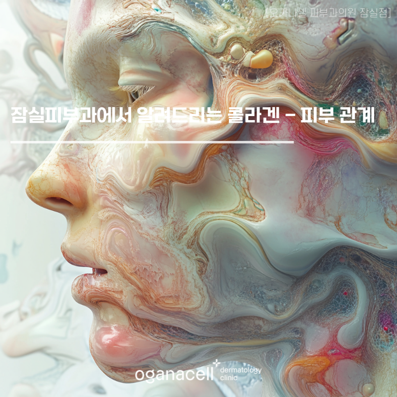 잠실피부과 오가나셀에서 알려드리는 콜라겐 - 피부 관계 관련 이미지 1