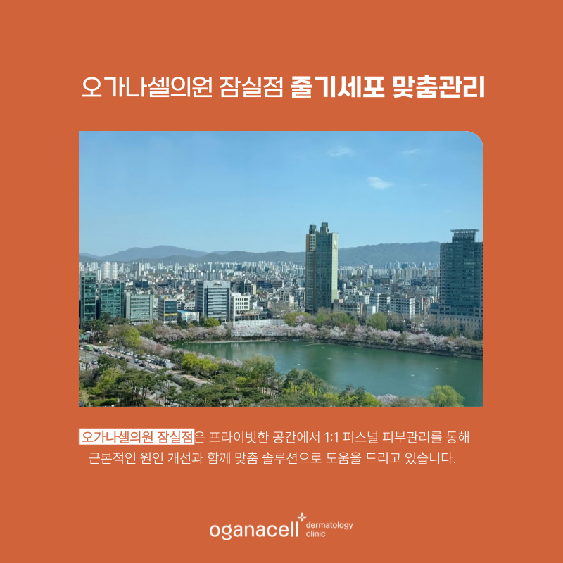 잠실 줄기세포 관리 받을 수 있는 피부과 정보 관련 이미지 7