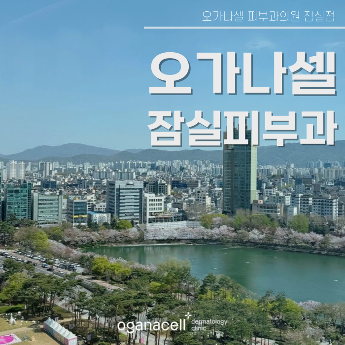 잠실새내 피부과 맞춤 피부교정 오가나셀잠실 관련 이미지 1