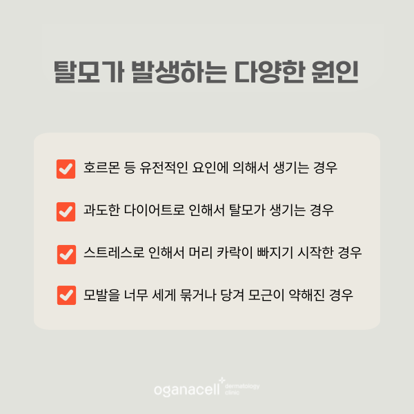 머리카락 빠지는 원인 잡고 탈모교정하는법 관련 이미지 5