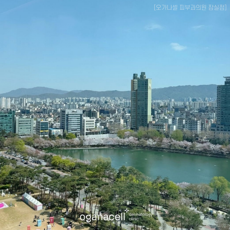 잠실 포텐자 피부과 모공관리 방법 관련 이미지 7