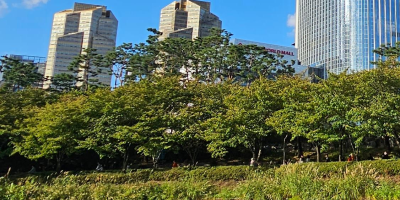 여드름 흉터 생기는 원인 및 관리 방법 관련 이미지 12