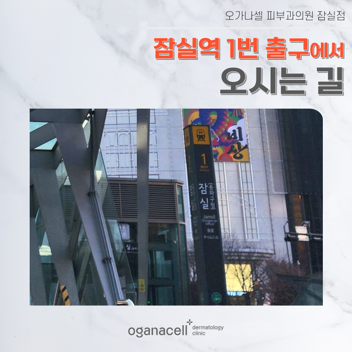 잠실역 1번 출구에서 오가나셀 잠실점 오시는 길 관련 이미지 1
