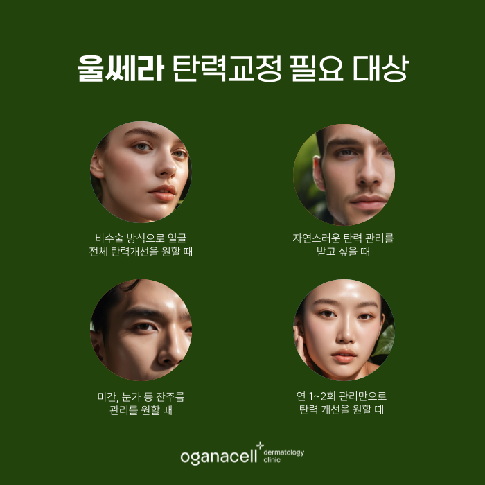 잠실역 피부과 울쎄라 적용부위 등 알아보기 관련 이미지 3