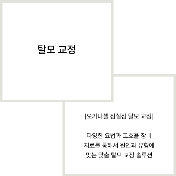 머리카락 빠지는 원인 잡고 탈모교정하는법 관련 이미지 2