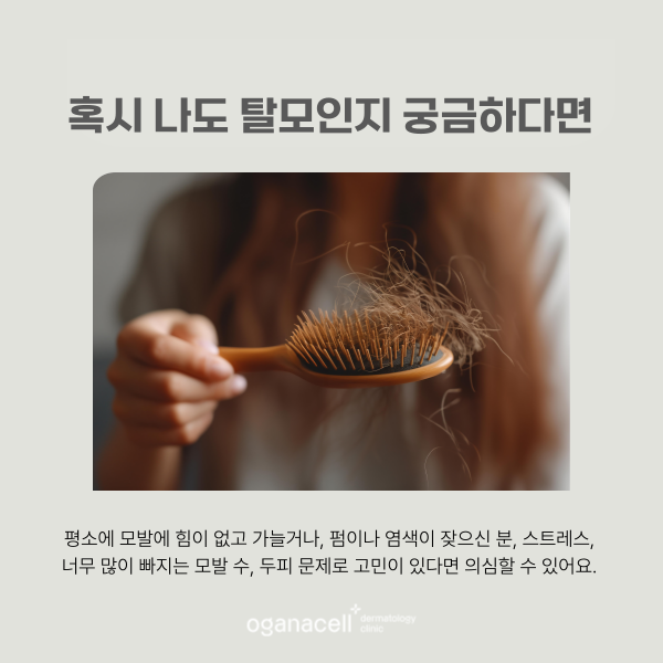 머리카락 빠지는 원인 잡고 탈모교정하는법 관련 이미지 6