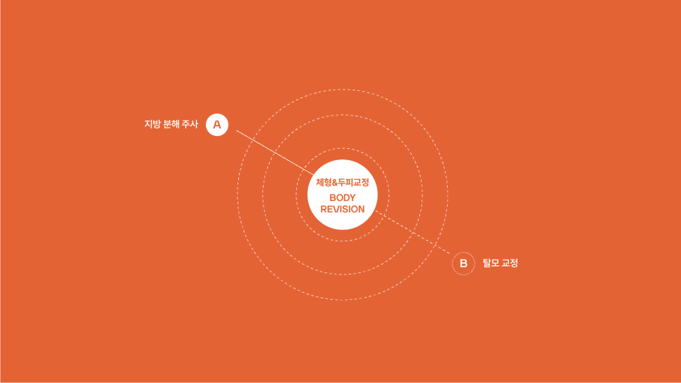 비스테로이드 체형관리주사 필수 확인사항 관련 이미지 3