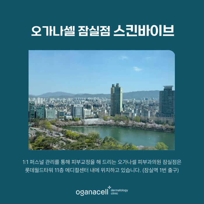 겨울철피부관리 1회 관리로 6개월 지속해주는 스킨바이브 관련 이미지 7