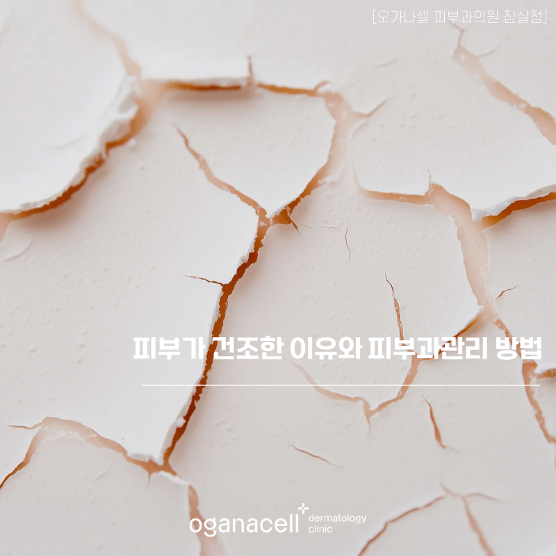 피부가 건조한 이유 및 피부과관리 방법 관련 이미지 1