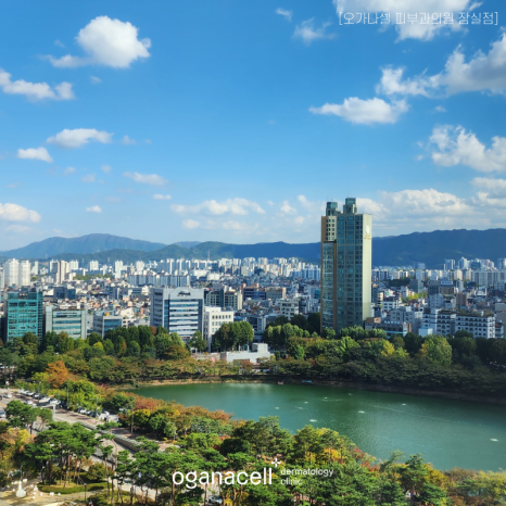 잠실 송파 올타이트, 모두에게 답은 아닙니다 관련 이미지 8
