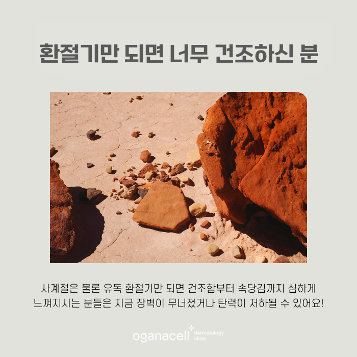 어려지는방법 쥬베룩 효과 관련 이미지 4