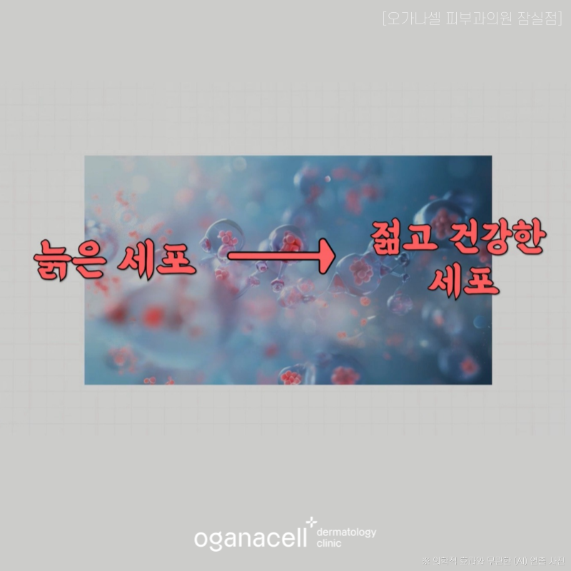 잠실줄기세포피부과 종류와 부작용 알아볼까요? 관련 이미지 2