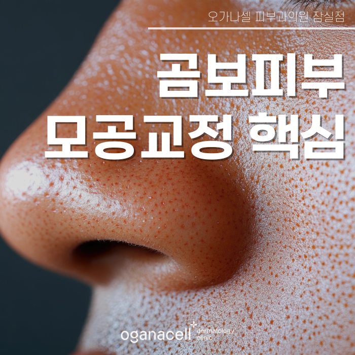 곰보피부 모공 축소보다 알아야 할 핵심 관련 이미지 1
