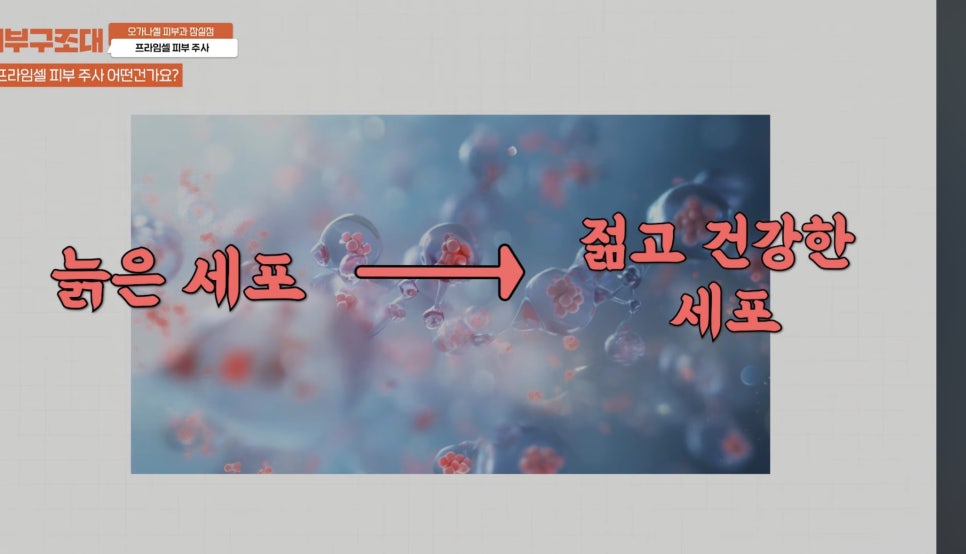 잠실역피부과 프라임셀 관리 후기 관련 이미지 3