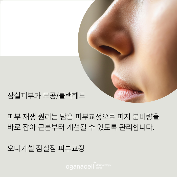 코의피지 제거하는 방법 원인부터 개선해야 관련 이미지 7