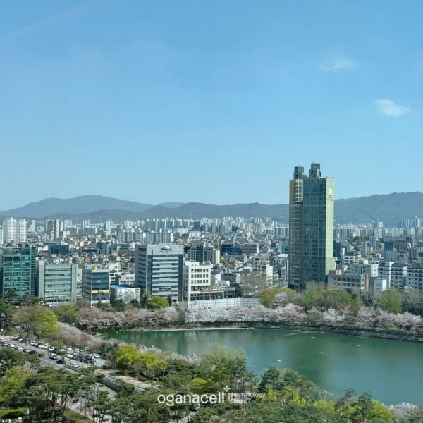 잠실피부과 오가나셀 잠실점 1주년 감사 이벤트 진행중 관련 이미지 4