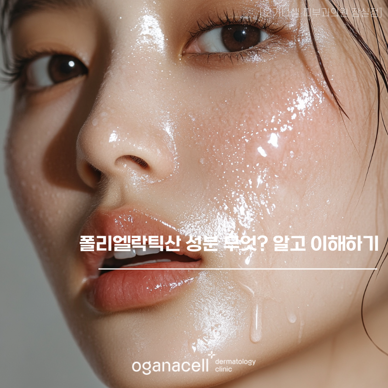 폴리엘락틱산 성분 무엇? 알고 이해하기 관련 이미지 1