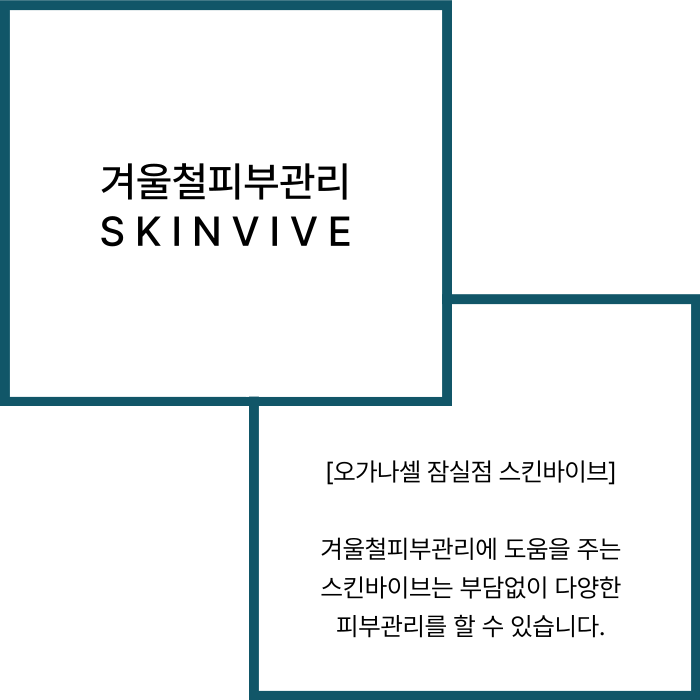 겨울철피부관리 1회 관리로 6개월 지속해주는 스킨바이브 관련 이미지 2