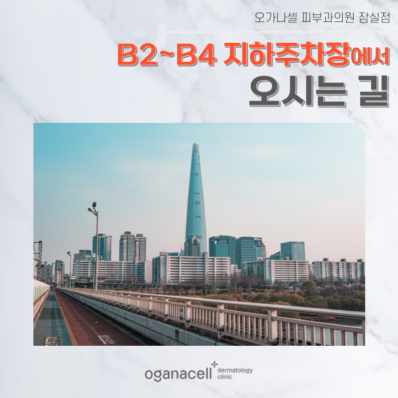 롯데월드타워 지하주차장에서 오가나셀 잠실점 오시는 길 관련 이미지 1