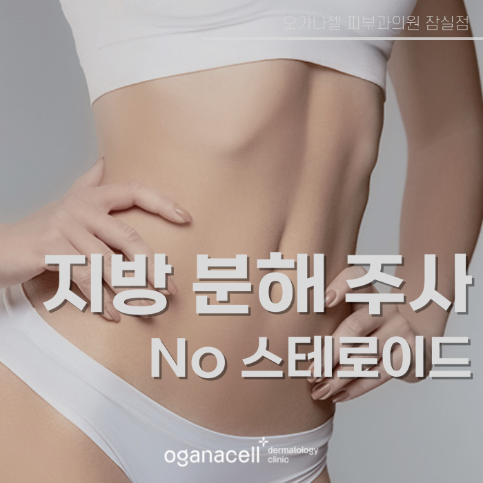 비스테로이드 체형관리주사 필수 확인사항 관련 이미지 1