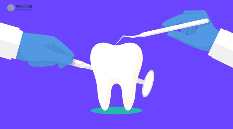 치아의 개수, 많아도 문제고 적어도 문제다? 관련 이미지 2