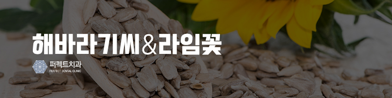 따라하기 쉬운 치태 없애는 방법 관련 이미지 5