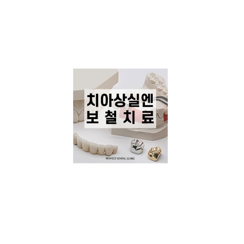 보철치료 종류 알아보기 관련 이미지 12