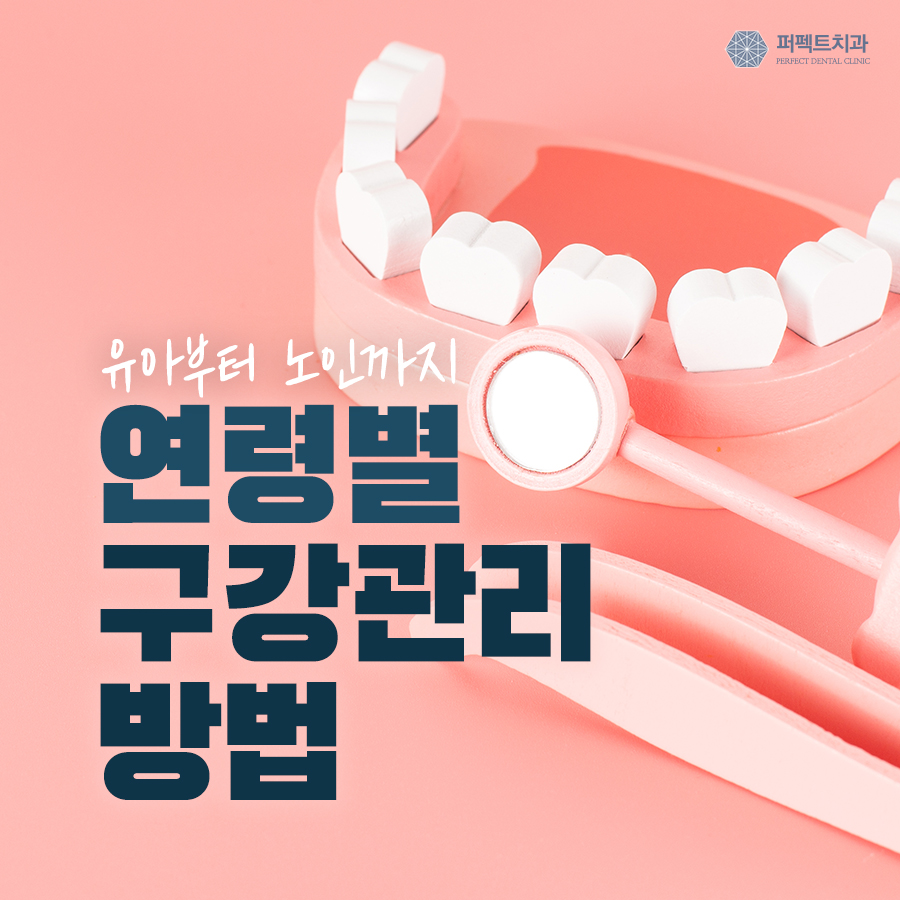 유아부터 노인까지, 나이대별 구강관리방법 TIP 관련 이미지 1