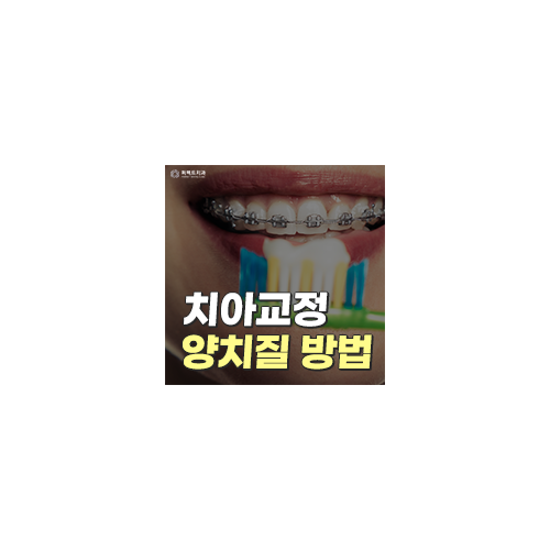 치아교정양치질, 어떻게 닦을까? 관련 이미지 4