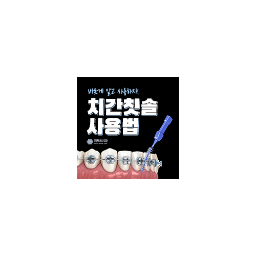 올바른 치간칫솔 사용법 관련 이미지 6