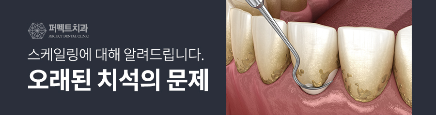 스케일링 효과와 보험적용 관련 이미지 4