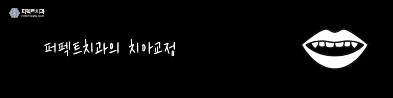 전체교정과 급속교정, 차이점은 뭘까? 관련 이미지 4