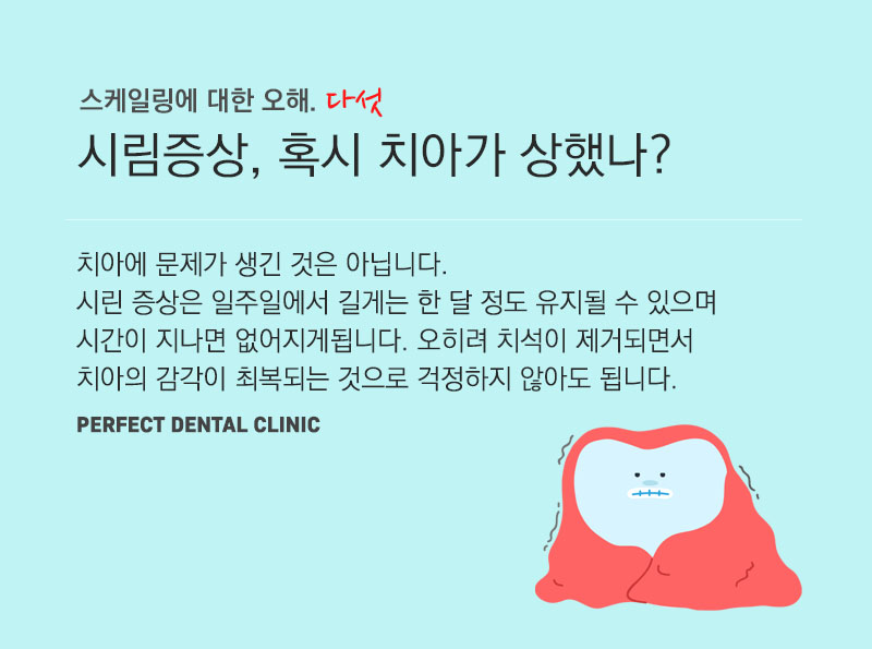 스케일링 아픈가요? 관련 이미지 9