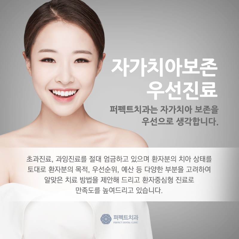 다시돌아온 지르코니아 크라운! 관련 이미지 8