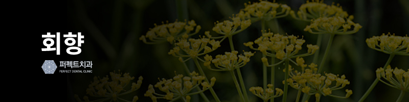 집에서 치통 치료제 만들기! 관련 이미지 4