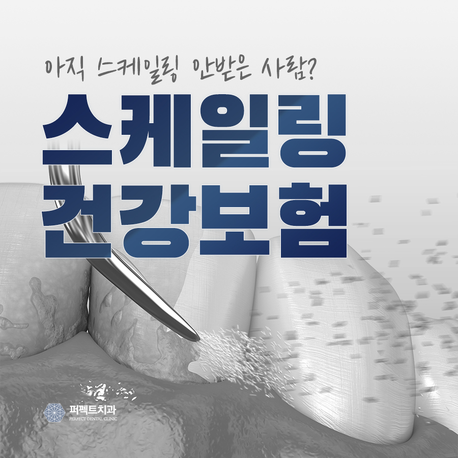 스케일링 아직 안받은 사람? 연 1회 건강보험 적용! 관련 이미지 1