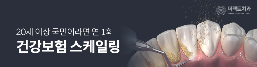 스케일링 효과와 보험적용 관련 이미지 2