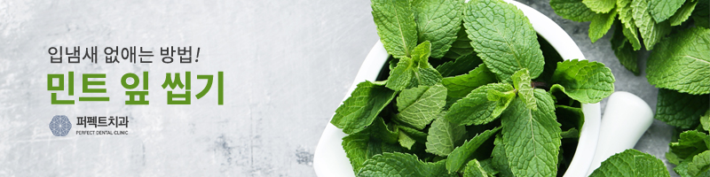 민트활용으로 구취 예방하기! 관련 이미지 3