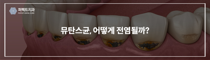 충치, 다른치아로 전염될 수 있다? 관련 이미지 2