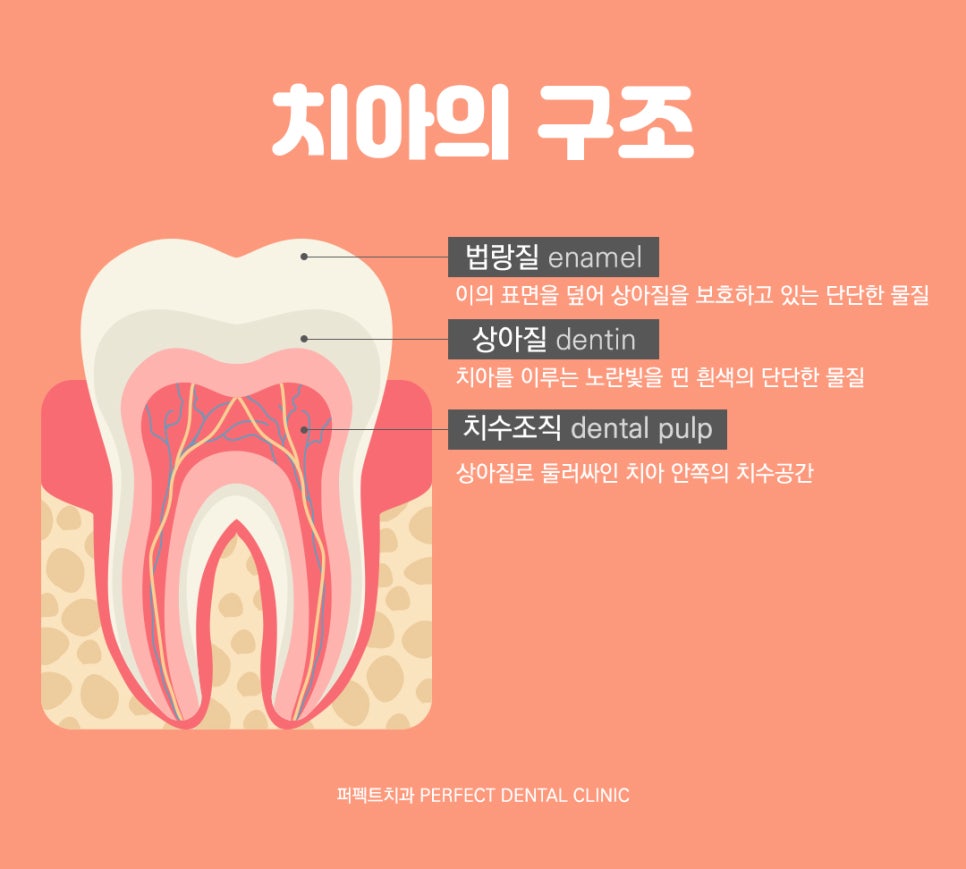 신경치료와 주의사항 관련 이미지 2
